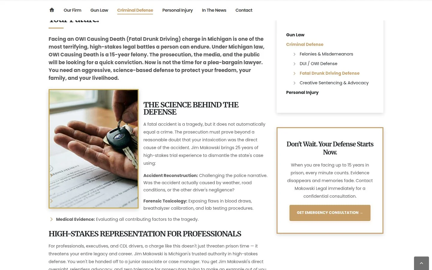 Makowski Legal — Michigan Gun Law & Criminal Defense slide 6